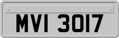 MVI3017