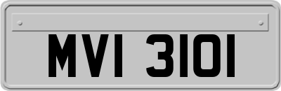 MVI3101
