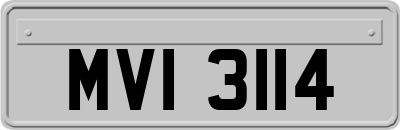 MVI3114