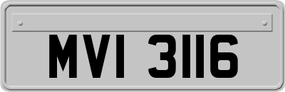 MVI3116