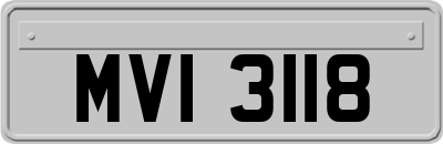 MVI3118