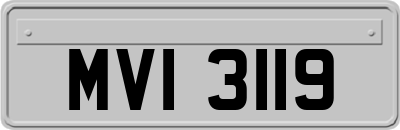 MVI3119