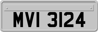 MVI3124