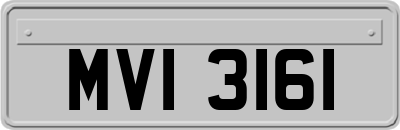 MVI3161