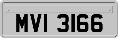 MVI3166
