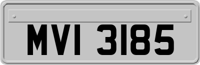 MVI3185