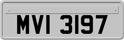 MVI3197