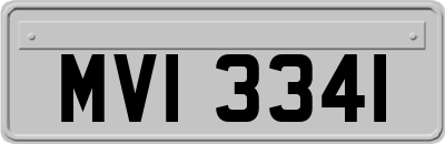 MVI3341