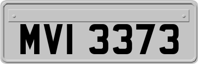 MVI3373