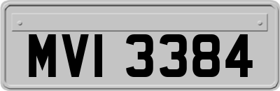 MVI3384