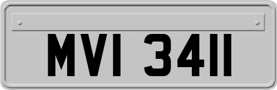 MVI3411