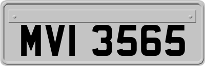 MVI3565