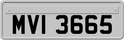 MVI3665