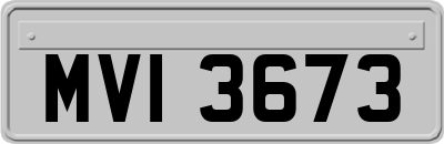 MVI3673