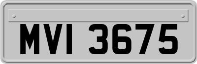 MVI3675
