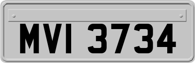 MVI3734