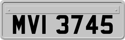 MVI3745