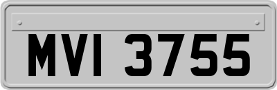 MVI3755
