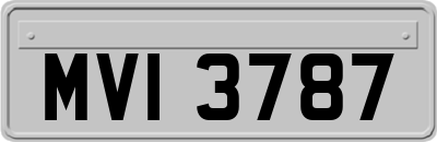 MVI3787