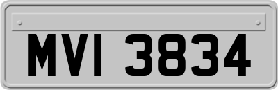 MVI3834