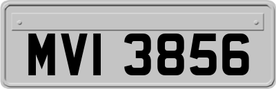 MVI3856