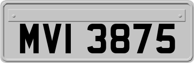 MVI3875