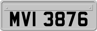 MVI3876