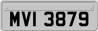 MVI3879