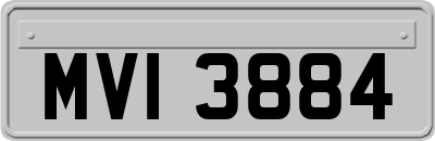 MVI3884