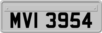 MVI3954