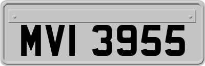 MVI3955
