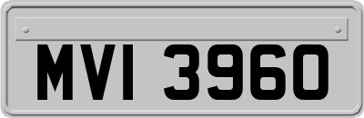 MVI3960