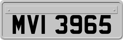 MVI3965