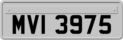MVI3975