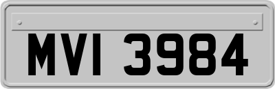 MVI3984