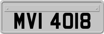 MVI4018