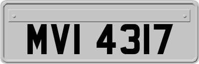 MVI4317