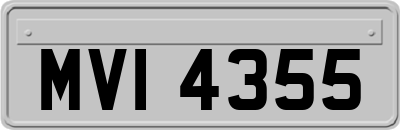 MVI4355