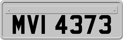 MVI4373