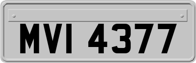 MVI4377