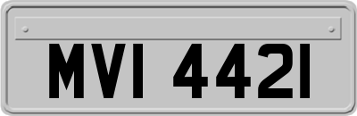 MVI4421