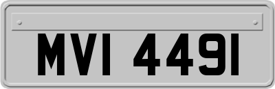 MVI4491