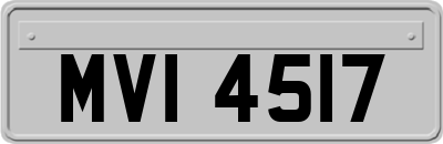 MVI4517