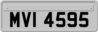 MVI4595