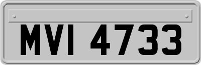 MVI4733