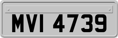 MVI4739