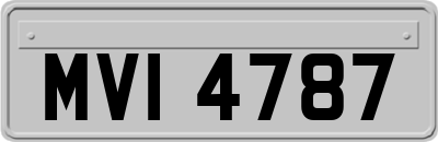 MVI4787
