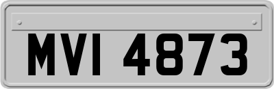 MVI4873