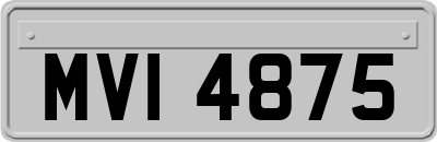 MVI4875