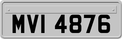 MVI4876